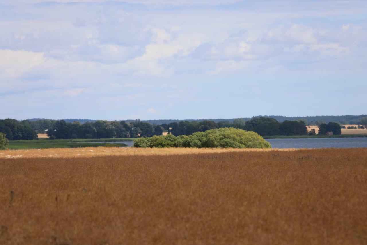 Stolpe auf UsedomSchloss Am Haffアパートメント エクステリア 写真